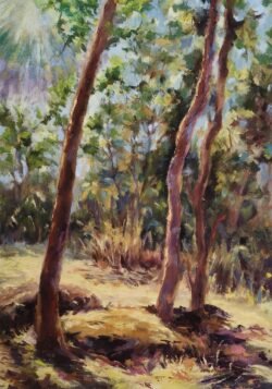 Afternoon in Kanha