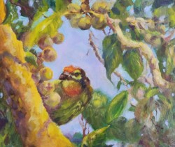 Coppersmith Camouflage